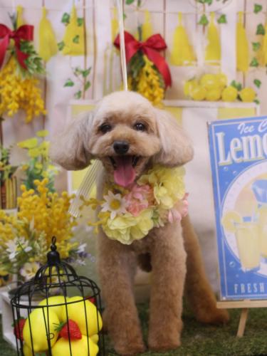 20240423うたちゃん